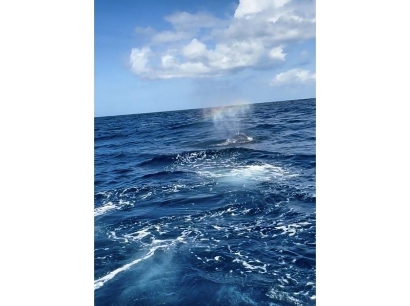 マリンクラブ ベリー那覇店 のギャラリー