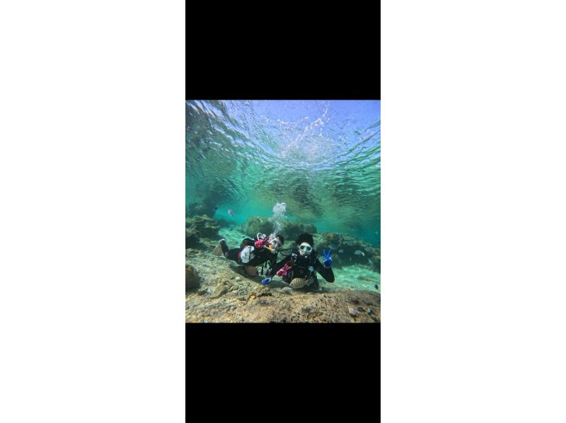 Bal field（バルフィールド） のギャラリー