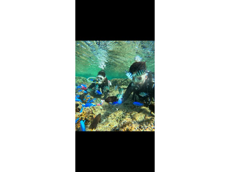 Bal field（バルフィールド） のギャラリー