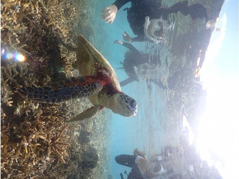 SUNSHINE MARIN 宮古島 のギャラリー