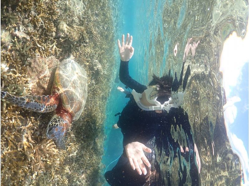 SUNSHINE MARIN 宮古島 のギャラリー