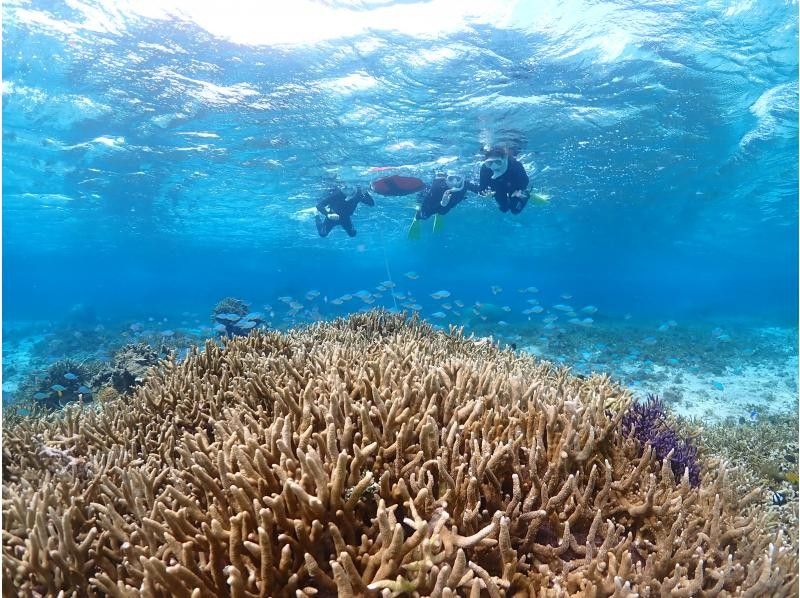 SUNSHINE MARIN 宮古島 のギャラリー