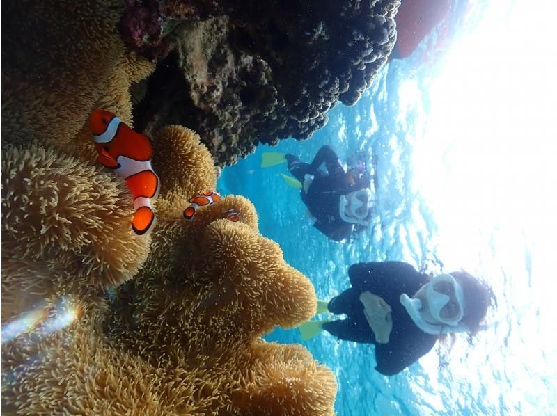 SUNSHINE MARIN 宮古島 のギャラリー