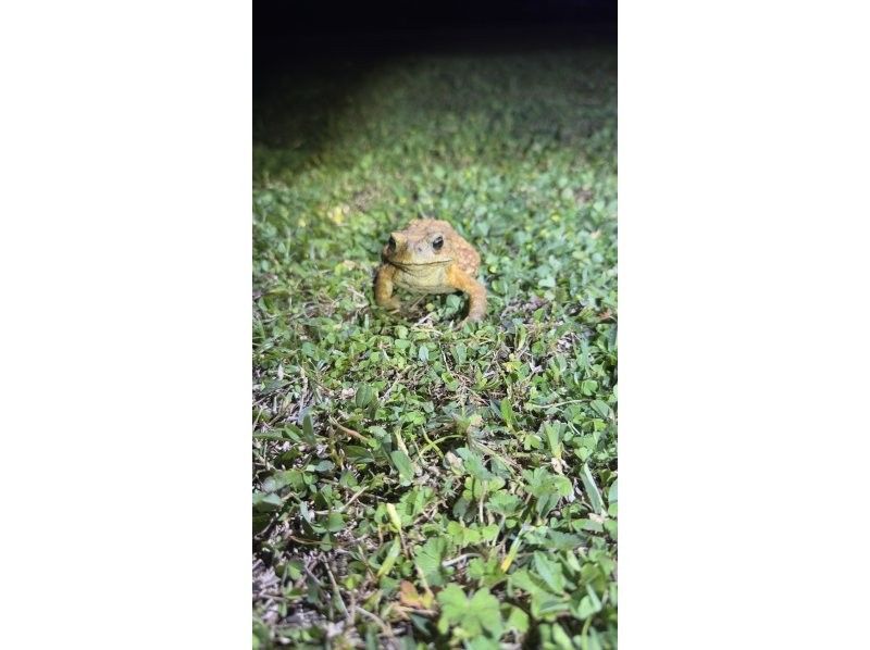 Polepolemarine385 のギャラリー