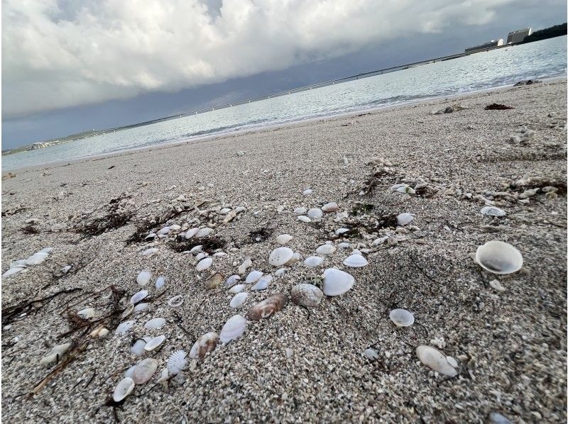 リコモ のギャラリー