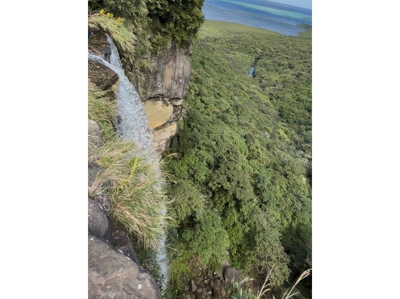 西表島カヌーツアー風車 のギャラリー