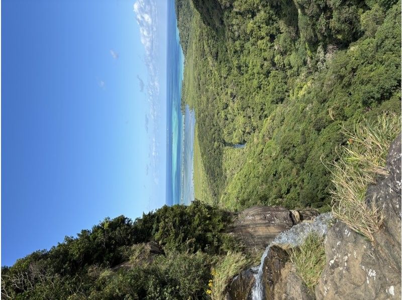 西表島カヌーツアー風車 のギャラリー