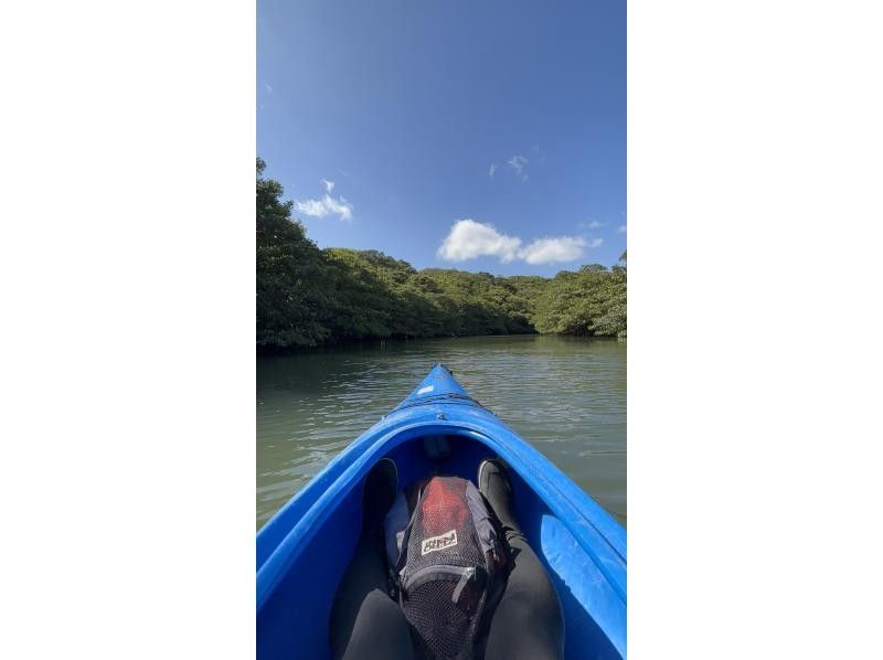 西表島カヌーツアー風車 のギャラリー