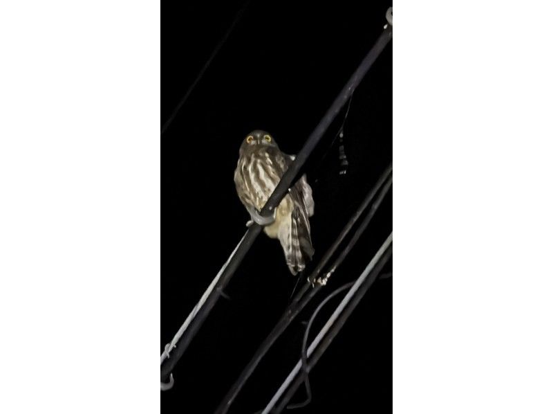 宮古島マリンショップSmiley のギャラリー