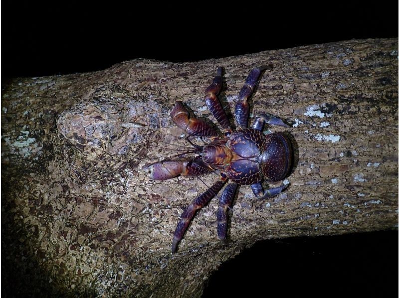 宮古島マリンショップSmiley のギャラリー