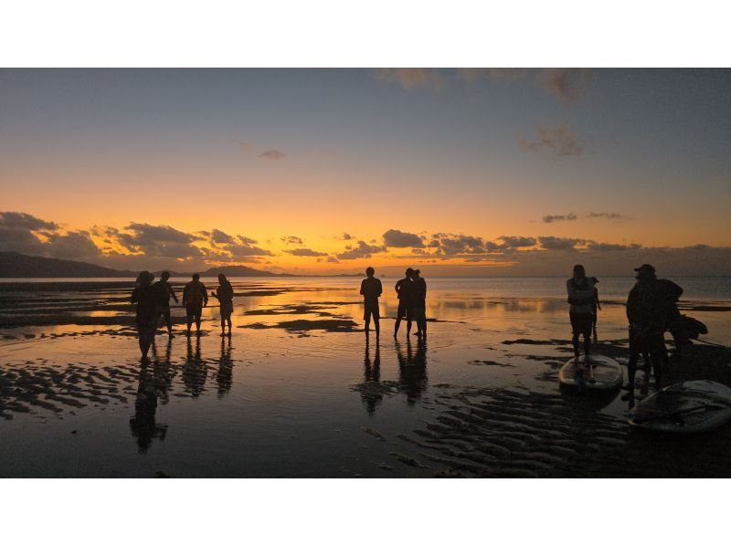 まるまりん のギャラリー