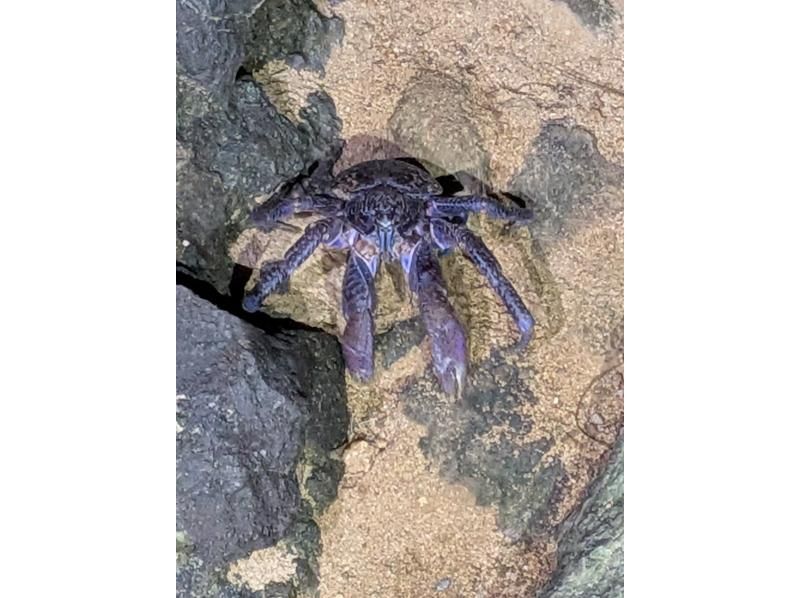 スターライフ石垣島 のギャラリー