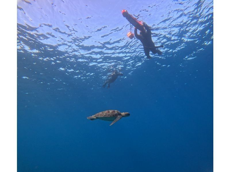 マリンショップしまじかん のギャラリー