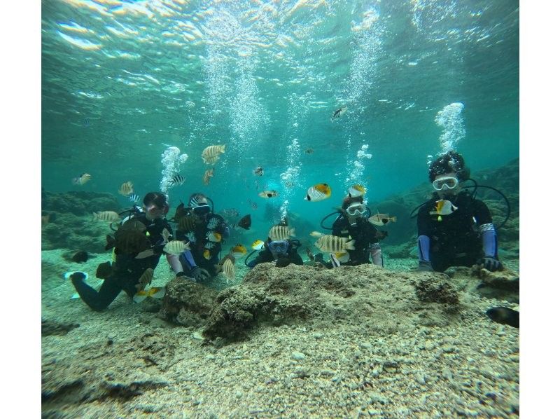 ダイビングショップ リョウ のギャラリー