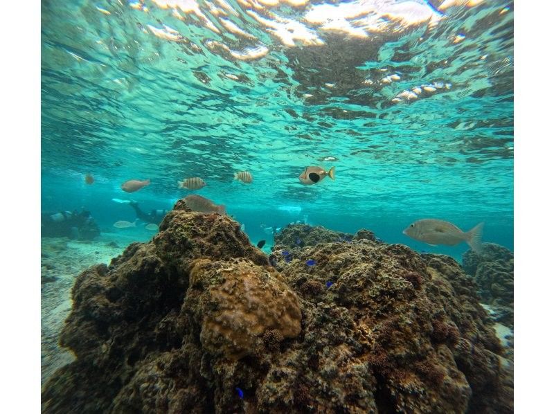 ダイビングショップ リョウ のギャラリー