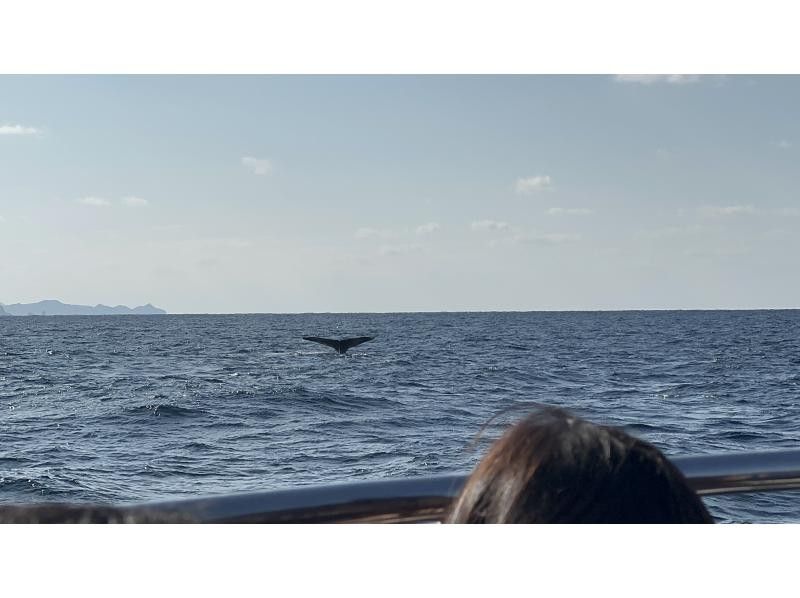 マリンクラブ ベリー那覇店 のギャラリー