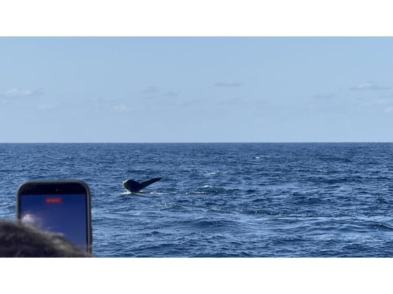 マリンクラブ ベリー那覇店 のギャラリー