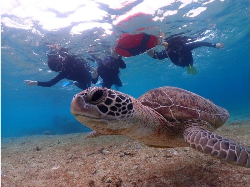 Nami宮古島 のギャラリー