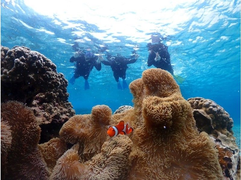 Nami宮古島 のギャラリー