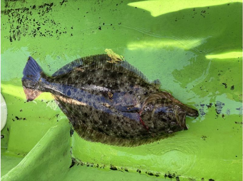 ATSUKU のギャラリー