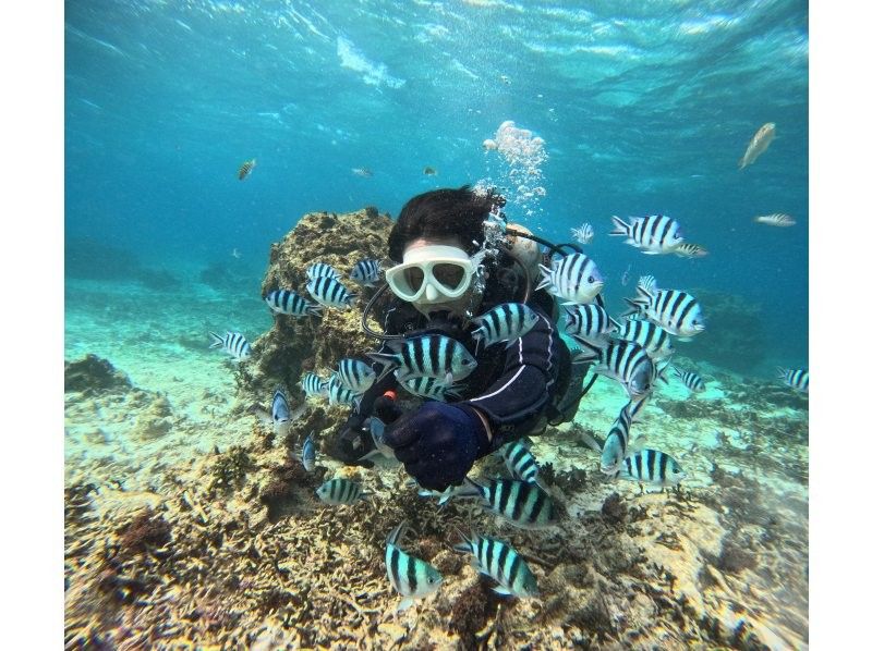 青の洞窟専門 沖縄ダイビングショップ和 のギャラリー