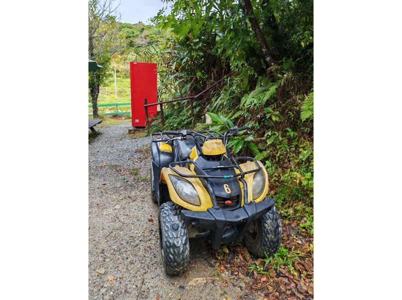 やんばるローカルベースYOFUKE のギャラリー