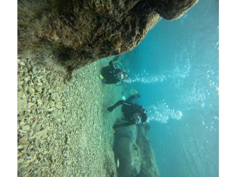 武藤潜水 のギャラリー