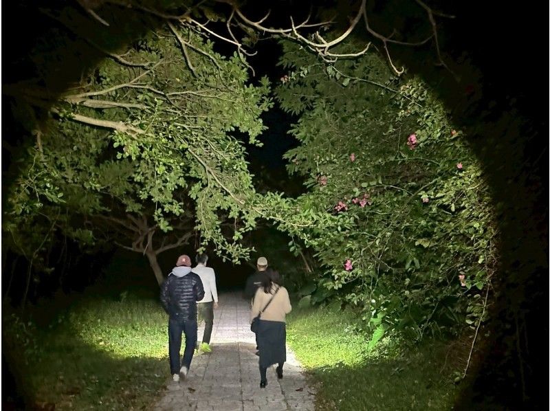 SUNSHINE MARIN 宮古島 のギャラリー