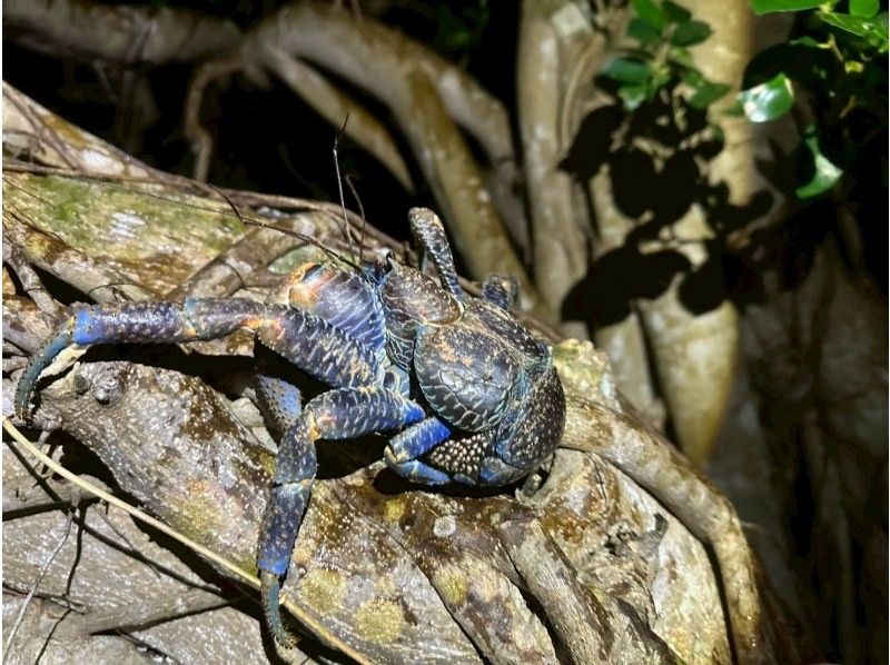 SUNSHINE MARIN 宮古島 のギャラリー