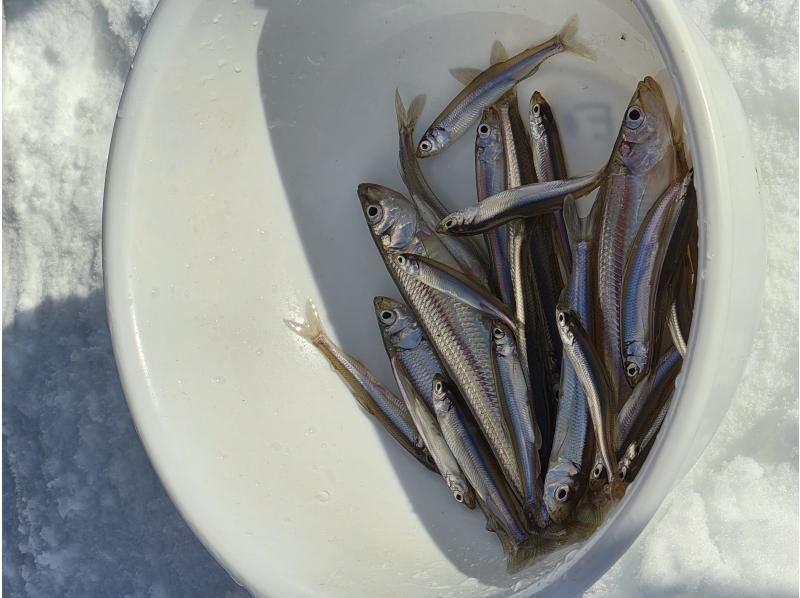 アースアウトドアツアーズ のギャラリー