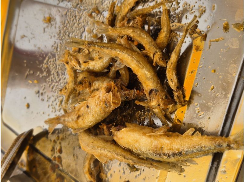 アースアウトドアツアーズ のギャラリー