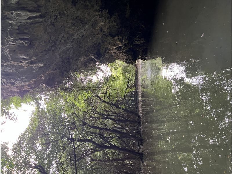 OHCUS（オーカス）石垣島 のギャラリー