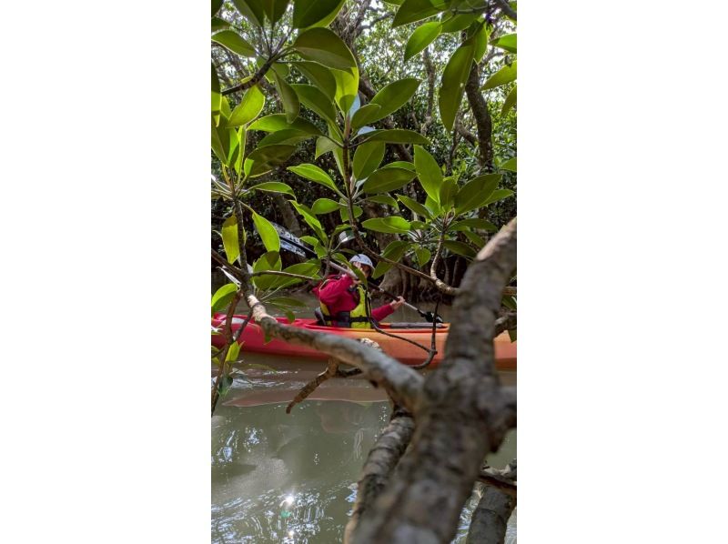 秘密基地ウトロベース のギャラリー