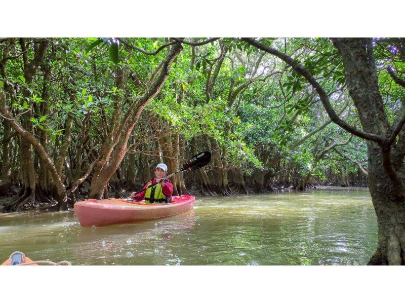 秘密基地ウトロベース のギャラリー