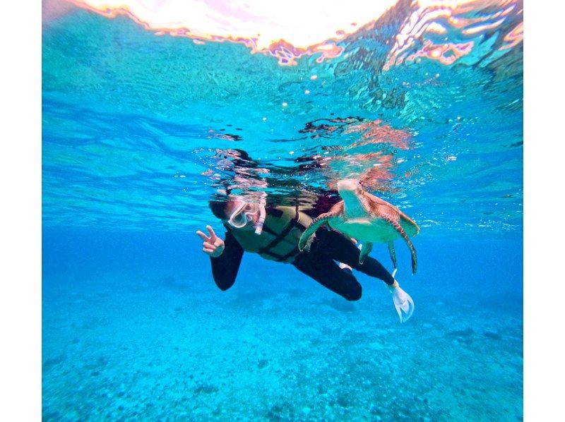 宮古島マリン SUGAR3 のギャラリー