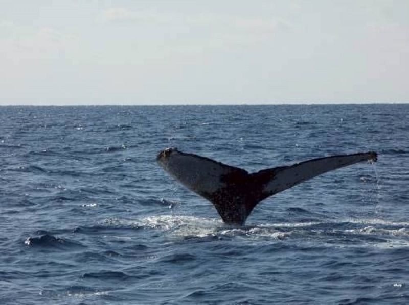 marine shop PETREL(マリンショップペトレル) のギャラリー