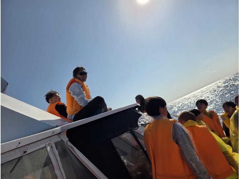 marine shop PETREL(マリンショップペトレル) のギャラリー