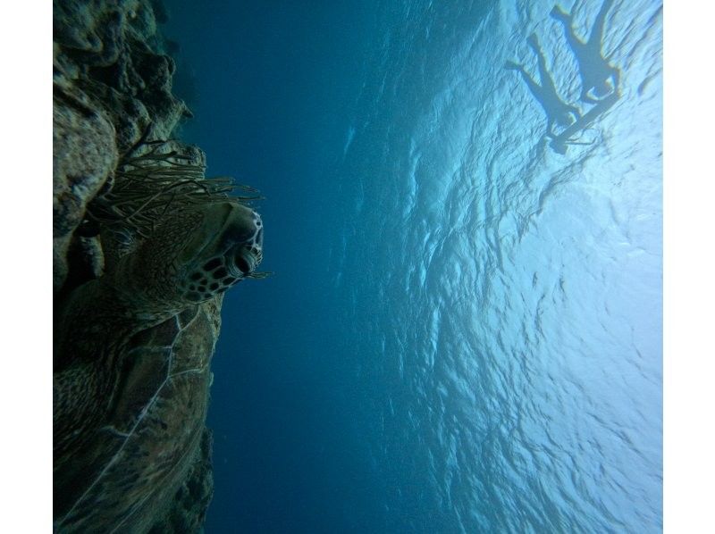 Tomorl のギャラリー