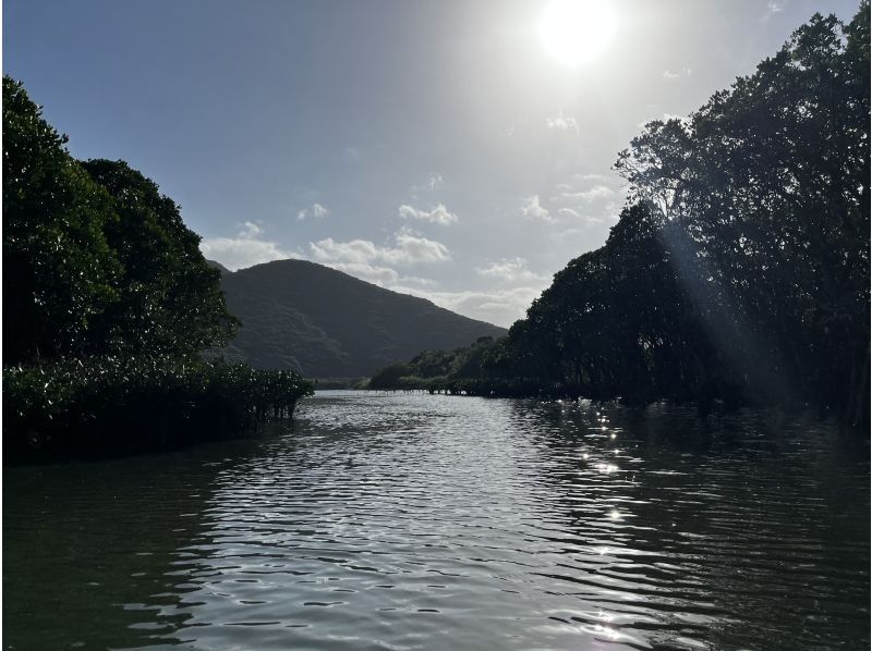 マングローブ茶屋 のギャラリー