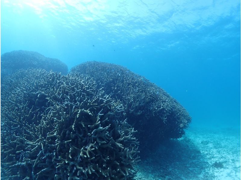 S2CLUB石垣島 のギャラリー