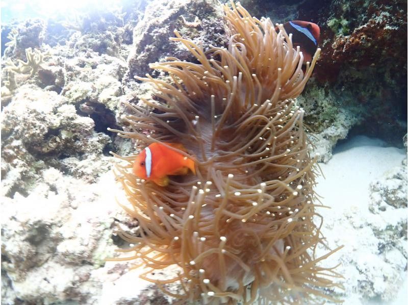 SUNSHINE MARIN 宮古島 のギャラリー