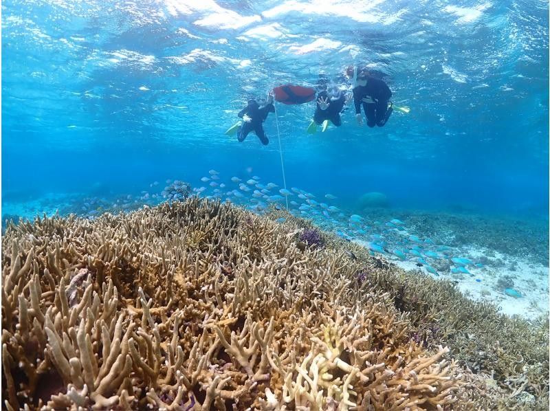 SUNSHINE MARIN 宮古島 のギャラリー