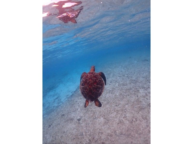 SUNSHINE MARIN 宮古島 のギャラリー