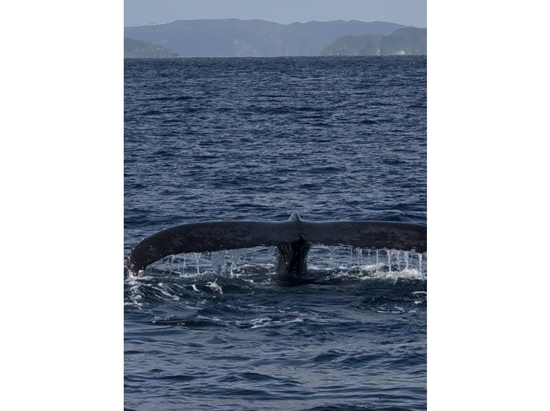 サウスtoサウス(South to South) のギャラリー