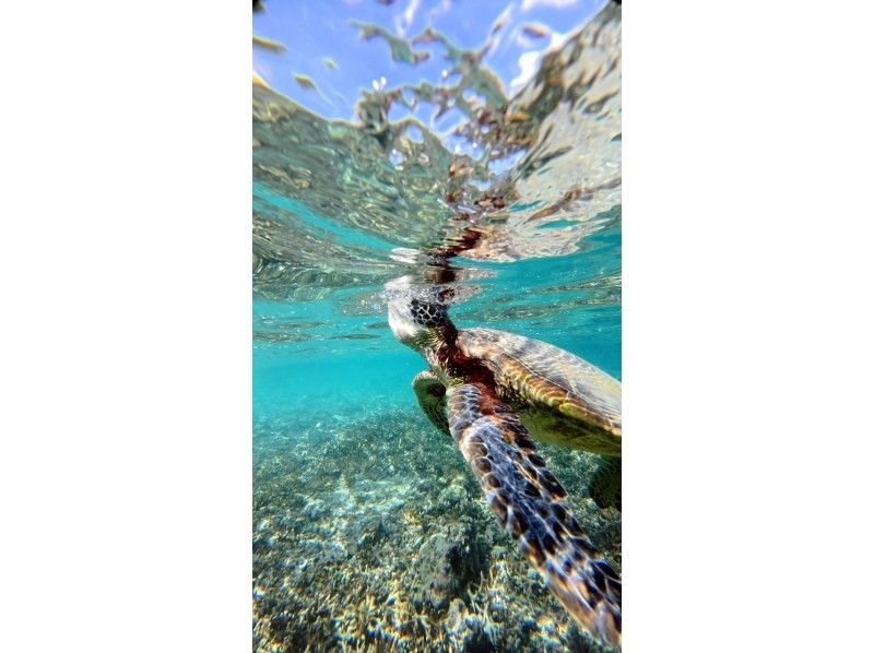 nico 宮古島 のギャラリー