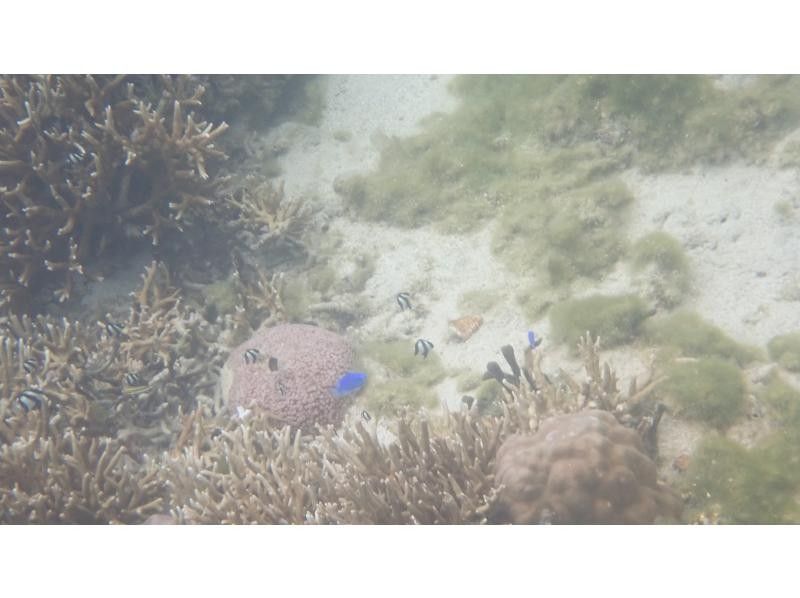 スキューバプロショップ沖縄 のギャラリー