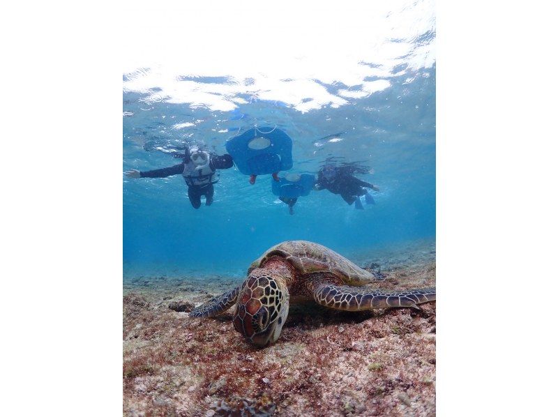 SUNSHINE MARIN 宮古島 のギャラリー