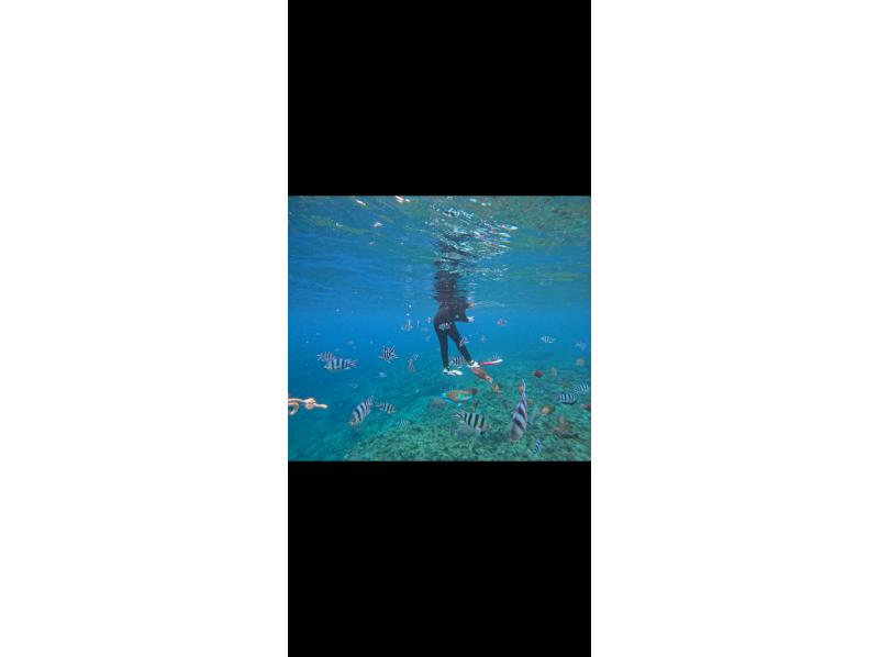 Bal field（バルフィールド） のギャラリー