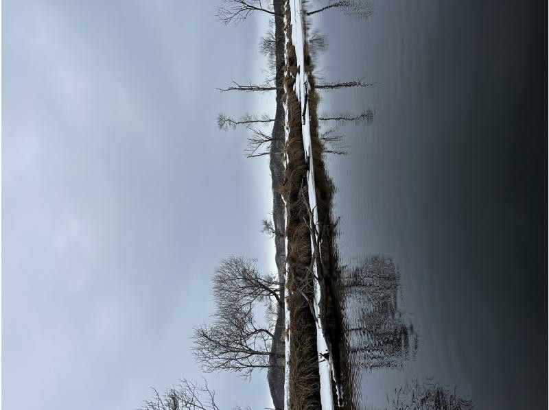 オールドプレイス のギャラリー