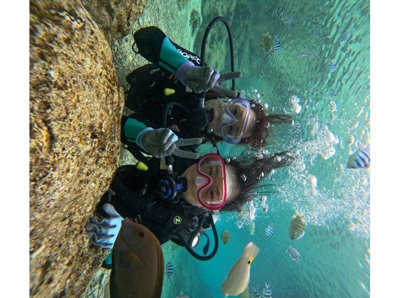 武藤潜水 のギャラリー